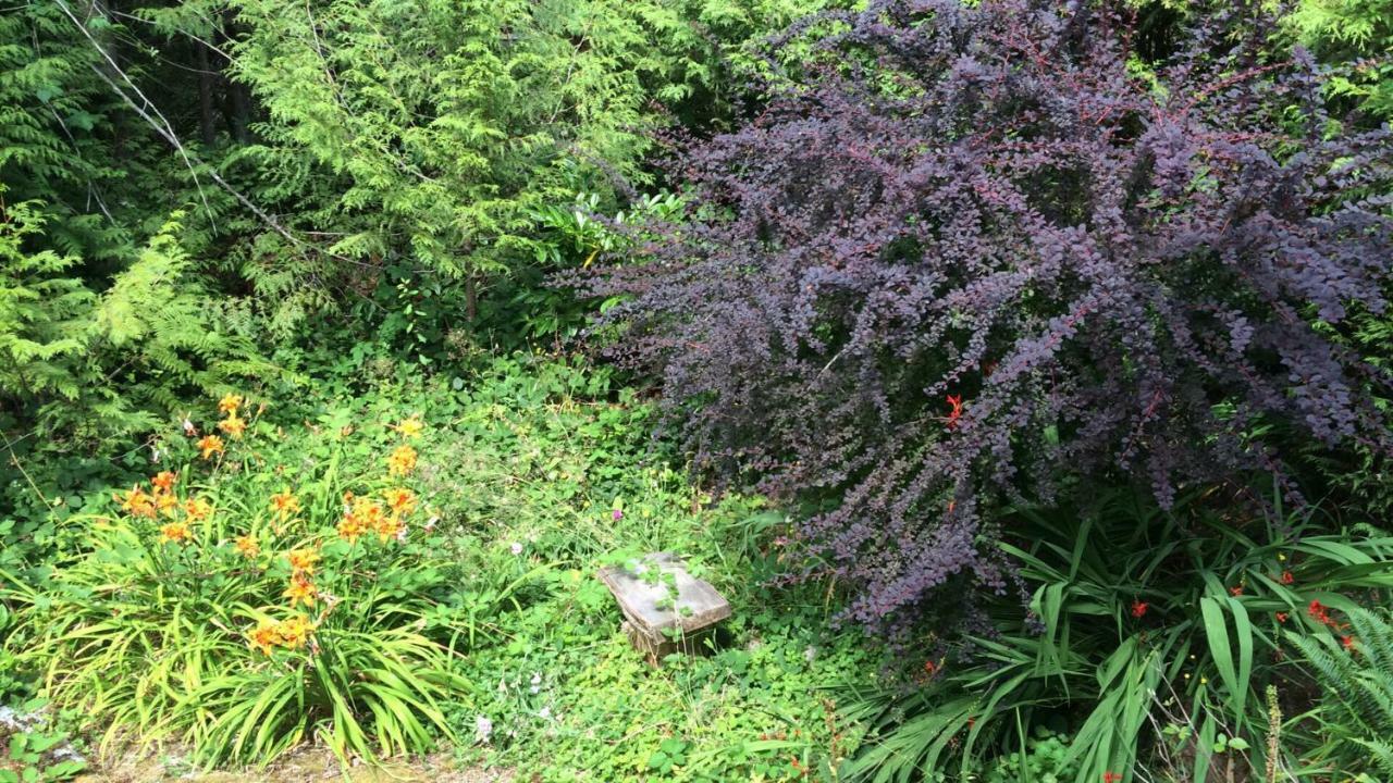 Secret Cove Cottage Suites Halfmoon Bay Exteriör bild